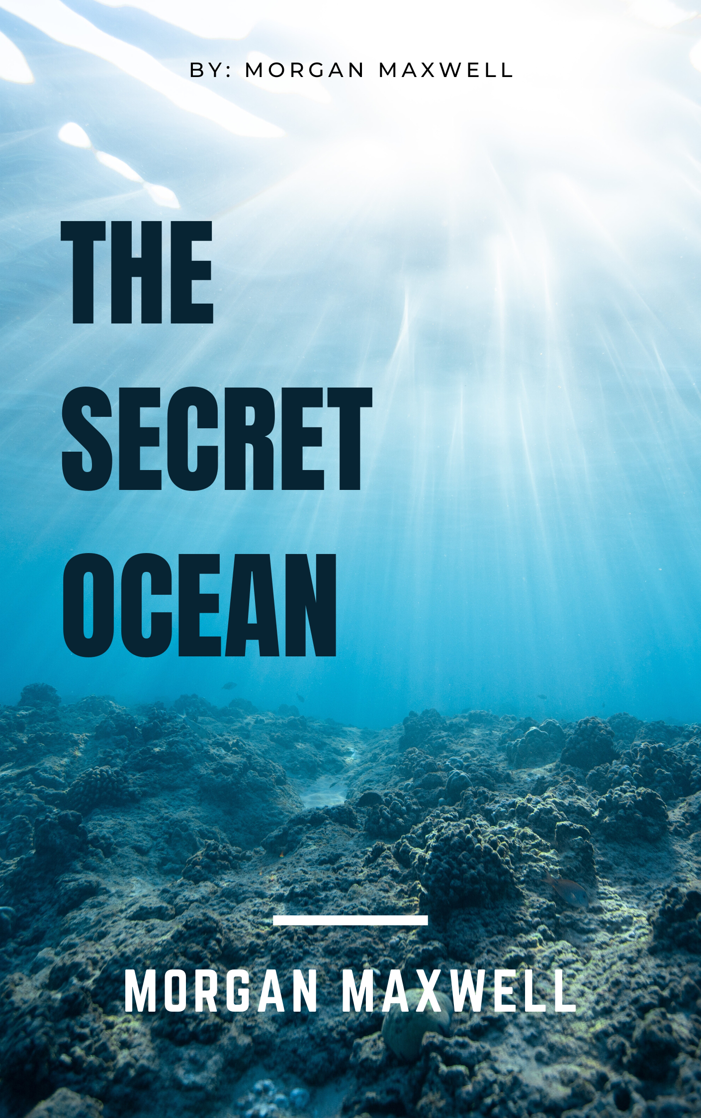 Book Title
